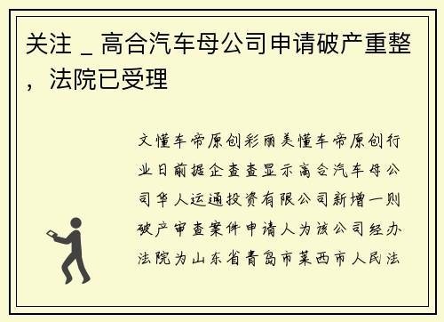 关注 _ 高合汽车母公司申请破产重整，法院已受理