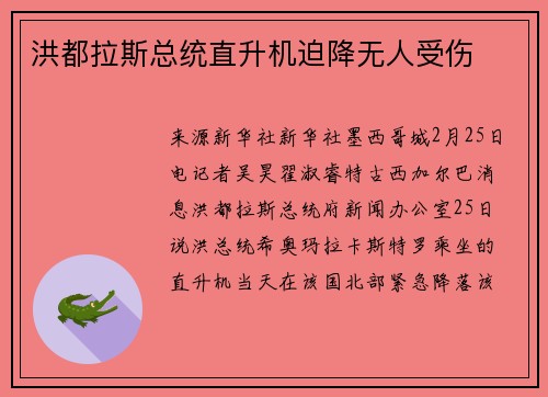 洪都拉斯总统直升机迫降无人受伤