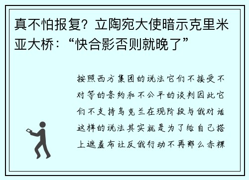 真不怕报复？立陶宛大使暗示克里米亚大桥：“快合影否则就晚了”