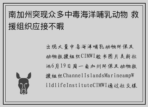 南加州突现众多中毒海洋哺乳动物 救援组织应接不暇